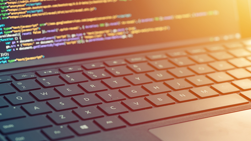 システム開発のエディタ画面の写真