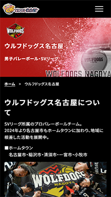 でらスポ名古屋のサイトの画像8